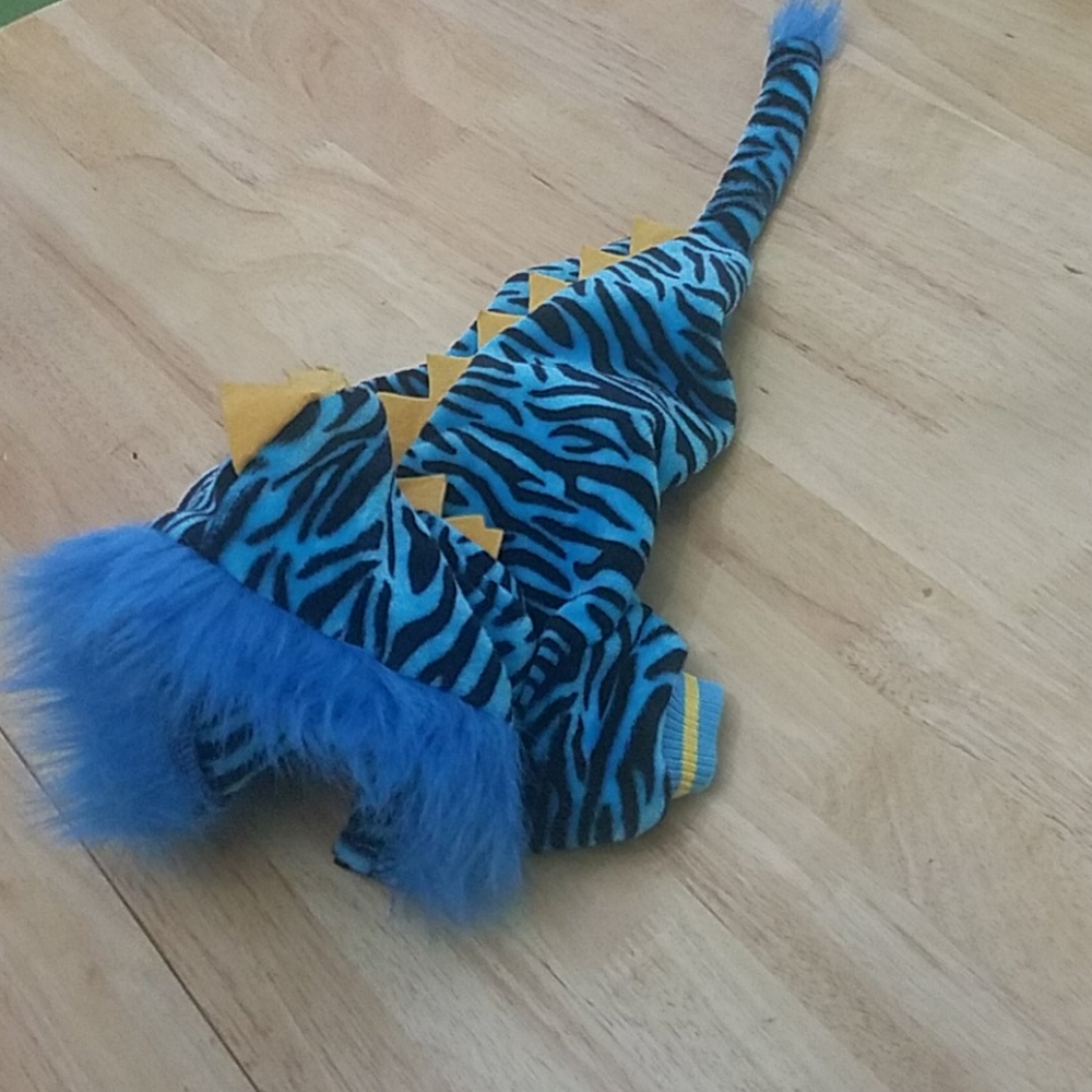 🔵 North Paw dog costume